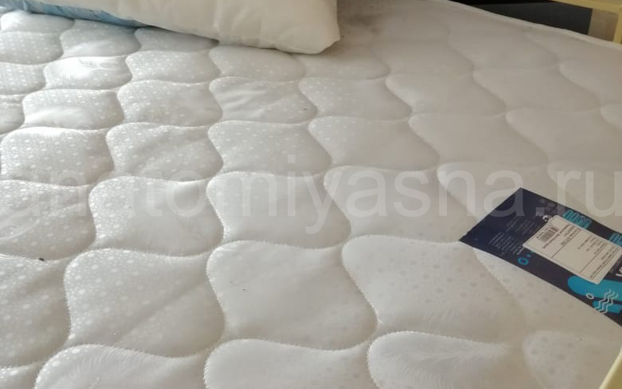 отзыв о Матрас Dimax Оптима Премиум фото 2